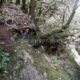 014 Barranco Rasa Torrenteller Sant Llorenc Morunys Rocjumper