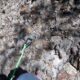 015 Barranc Llosa Pixavaques Sant Llorenc Morunys Rocjumper