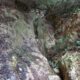 015 Barranc Sots Ferestecs Montmany Rocjumper