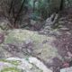 018 Barranc Sots Ferestecs Montmany Rocjumper