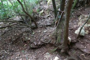 R3 - Torrent de l'Ullà - Barrancs Els Sots Feréstecs de Montmany - Montmany-Figaró - RocJumper