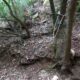 019 Barranc Sots Ferestecs Montmany Rocjumper