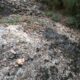 019 Barranco Rasa Torrenteller Sant Llorenc Morunys Rocjumper