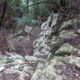 020 Barranc Sots Ferestecs Montmany Rocjumper