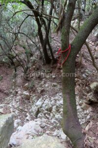 R4 - Torrent de l'Ullà - Barrancs Els Sots Feréstecs de Montmany - Montmany-Figaró - RocJumper