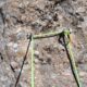022 Barranco Rasa Torrenteller Sant Llorenc Morunys Rocjumper
