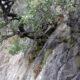 022 Barranco Salt Fito Jonquera Rocjumper