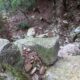 023 Barranc Sots Ferestecs Montmany Rocjumper