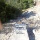 023 Barranco Buitreras Colmenar Rocjumper