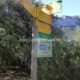 024 Barranc Sant Aniol Sadernes Rocjumper