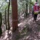 025 Barranco Rasa Torrenteller Sant Llorenc Morunys Rocjumper