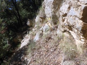 Flanqueo expuesto - Barranc de Sant Aniol - Sadernes - RocJumper