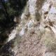 028 Barranc Sant Aniol Sadernes Rocjumper