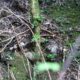 028 Barranco Rasa Torrenteller Sant Llorenc Morunys Rocjumper