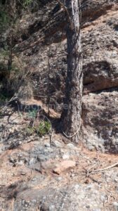 R5' - Barranc de la Llosa o Torrent de Pixavaques - Sant Llorenç de Morunys - RocJumper