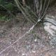 030 Barranc Sots Ferestecs Montmany Rocjumper