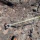 030 Via Cabra Panxa Bisbe Montserrat Rocjumper