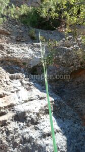 R5 - Barranc de la Llosa o Torrent de Pixavaques - Sant Llorenç de Morunys - RocJumper