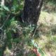 035 Barranc Llosa Pixavaques Sant Llorenc Morunys Rocjumper
