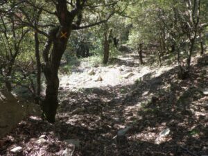 Dejar sendero - Barranc de Sant Aniol - Sadernes - RocJumper
