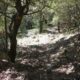 035 Barranc Sant Aniol Sadernes Rocjumper