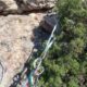 035 Via Cabra Panxa Bisbe Montserrat Rocjumper