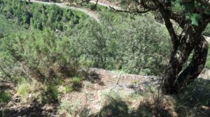 R7 - Barranc de la Llosa o Torrent de Pixavaques - Sant Llorenç de Morunys - RocJumper