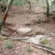 036 Barranc Sots Ferestecs Montmany Rocjumper
