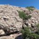 036 Via Cabra Panxa Bisbe Montserrat Rocjumper