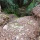 038 Barranc Sots Ferestecs Montmany Rocjumper