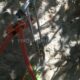 039 Barranc Llosa Pixavaques Sant Llorenc Morunys Rocjumper