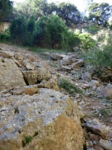 Tartera retorno - Barranc Rasa de Perera - Guixers - RocJumper