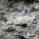 039 Barranc Salt Lano Guixers Rocjumper