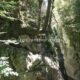 039 Barranc Sant Aniol Sadernes Rocjumper