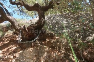 R8 - Barranc de la Llosa o Torrent de Pixavaques - Sant Llorenç de Morunys - RocJumper