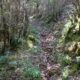 040 Barranco Rasa Torrenteller Sant Llorenc Morunys Rocjumper