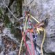 041 Barranc Sant Aniol Sadernes Rocjumper