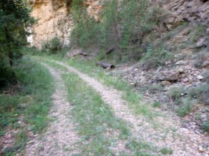 Pista - Barranc Rasa de Perera - Guixers - RocJumper