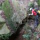 042 Barranc Sots Ferestecs Montmany Rocjumper