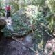 042 Barranco Rasa Torrenteller Sant Llorenc Morunys Rocjumper
