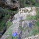 043 Barranc Salt Lano Guixers Rocjumper