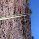 044 Barranc Llosa Pixavaques Sant Llorenc Morunys Rocjumper