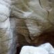 045 Barranco Buitreras Colmenar Rocjumper
