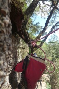 R11 - Rasa de Torrenteller - Sant Llorenç de Morunys - RocJumper