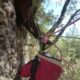 045 Barranco Rasa Torrenteller Sant Llorenc Morunys Rocjumper