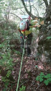R9 - Barranc de la Llosa o Torrent de Pixavaques - Sant Llorenç de Morunys - RocJumper
