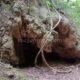 047 Barranc Sots Ferestecs Montmany Rocjumper