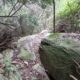 050 Barranc Sots Ferestecs Montmany Rocjumper