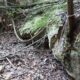 051 Barranc Sots Ferestecs Montmany Rocjumper