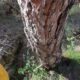 051 Barranco Rasa Torrenteller Sant Llorenc Morunys Rocjumper